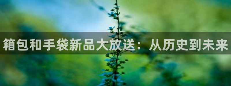 海南意昂体育3发展怎么样