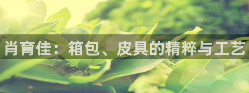 意昂体育3
