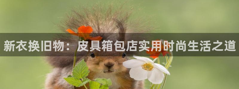 意昂3集团官网首页网址