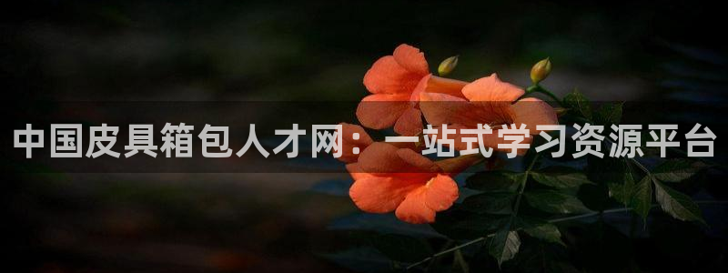 意昂体育3招商电话是多少号码