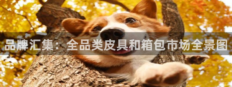 意昂3集团官网网址