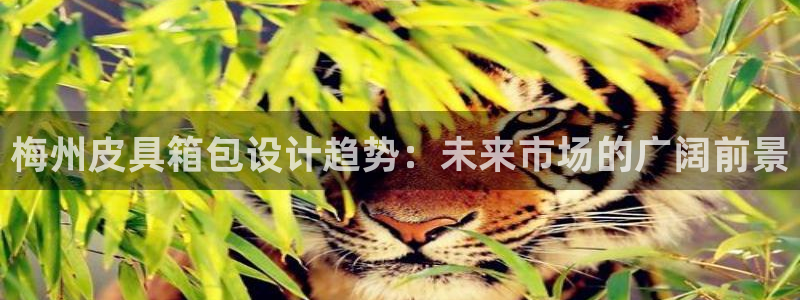 意昂体育3招商电话号码查询是多少