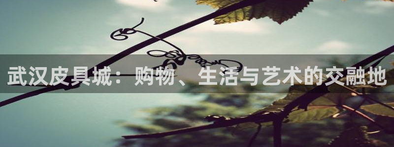 海南意昂体育3发展怎么样
