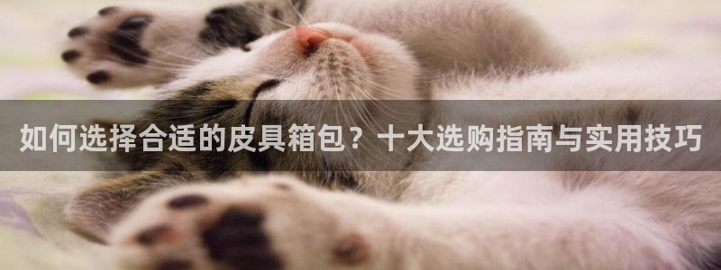 意昂3神州
