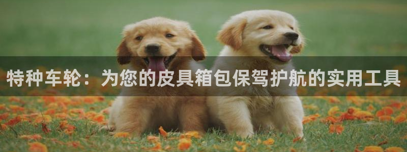 意昂体育3娱乐