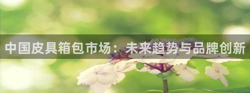 意昂3娱乐首页网站大全