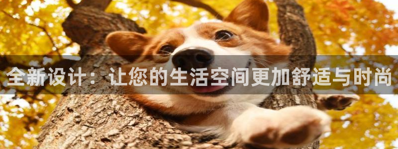 海南意昂体育3发展怎么样