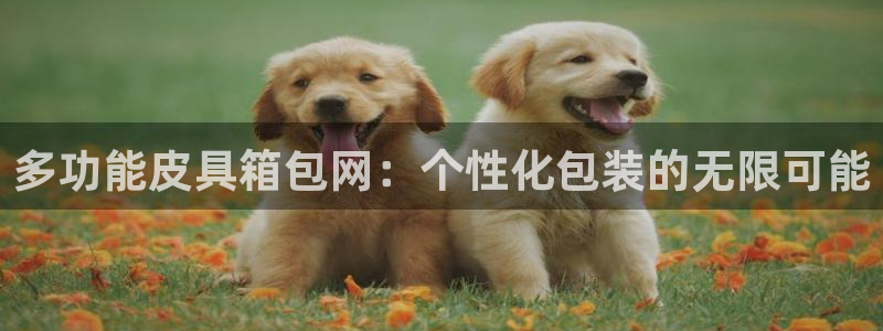 意昂3神州